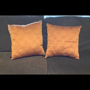 Pair of Orange Throw Pillows